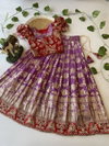 Ajd 8083 Pure Viscose Dola Silk Lehenga With Blouse Bulk Orders In India